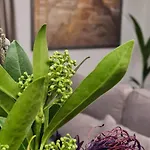 Apartman In & Park House *