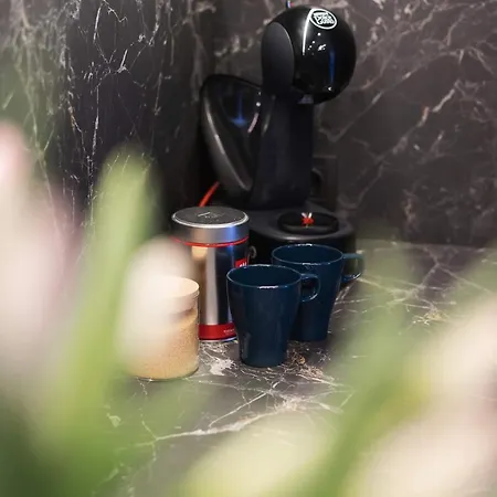 In & Park House Apartmán Kaunas