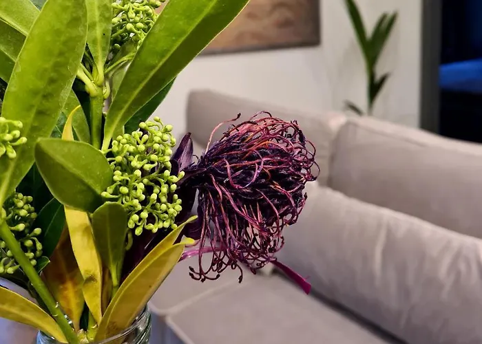 In & Park House * Kaunas