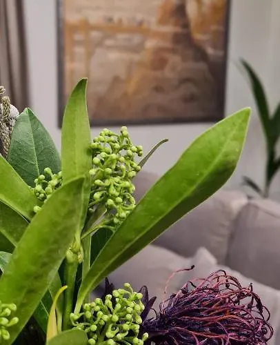 Appartement In & Park House *