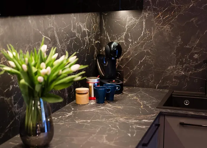 In & Park House Appartement Kaunas